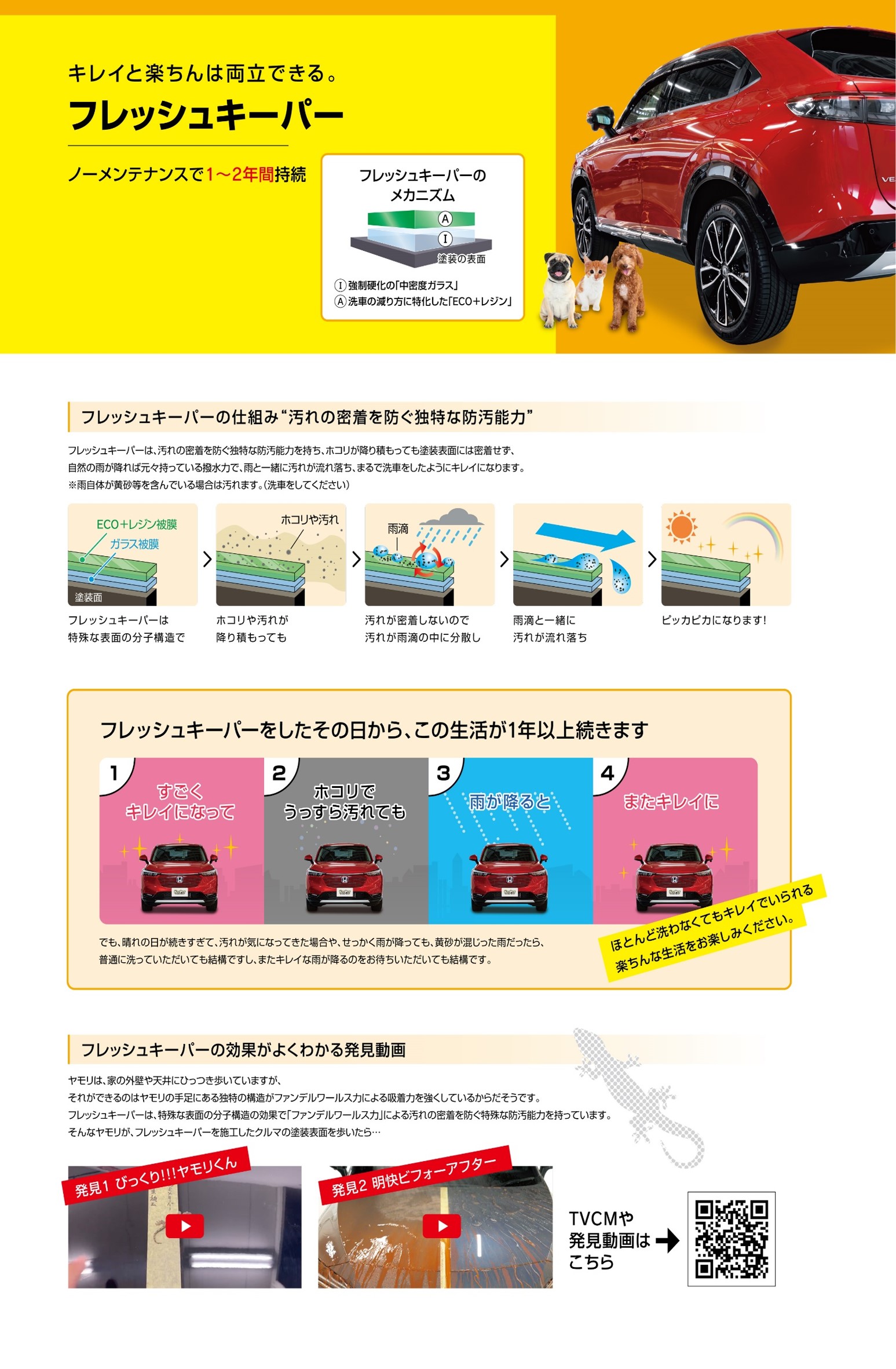フレッシュキーパーの特徴とメカニズム