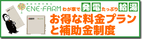 お得な料金プランと補助金制度